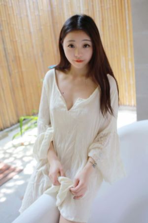 树影迷宫电视剧免费播放_免费手机在线看观看