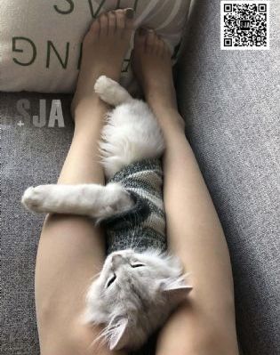 《爱情回来了》电视剧_土豆网在线观看