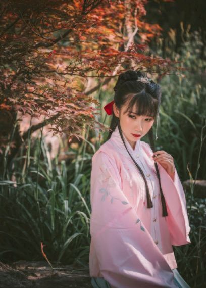 花非花电视剧免费观看完整版_高清完整无删减高清视频播放