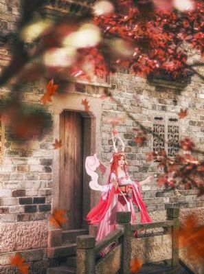 珠帘玉幕 电视剧_高清无删减在线观看