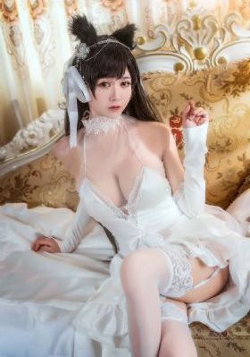 法证先锋6电视剧免费观看_BD高清视频观看